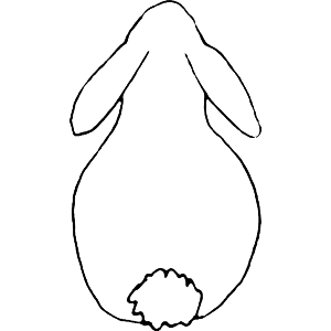 Sitting Rabbit 