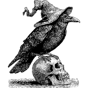 Raven Wearing a Witch Hat on Human Skull