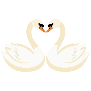 Swan Couple