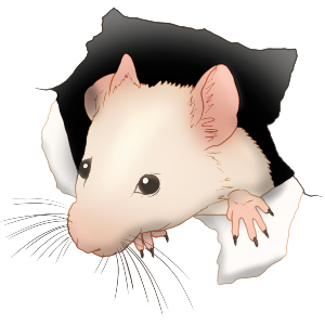Mouse Through Hole