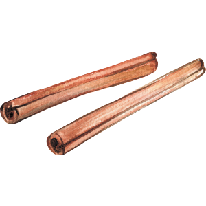 Cinnamon Sticks Watercolor Illustration 