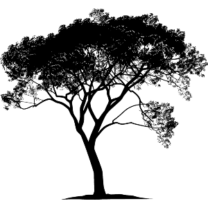 Reclined Tree