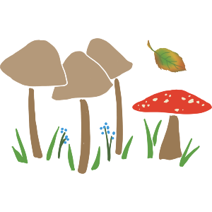 Autumnal Toadstools
