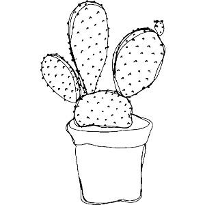 Cactus