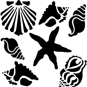 Sea Shells & Starfish
