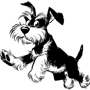 Schnauzer Jumping