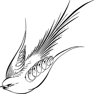 Calligraphy Swallow