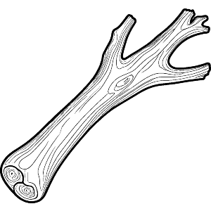 Driftwood