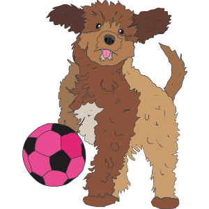 Playing Cockapoo Puppy 
