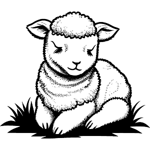 Sleeping Lamb