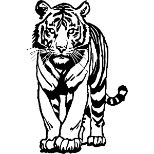 Malayan Tiger
