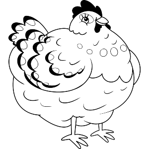 Chubby Chicken