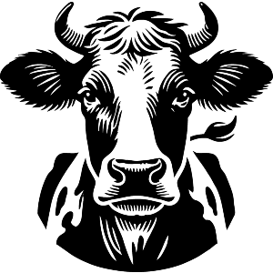 Dairy Cow Portrait