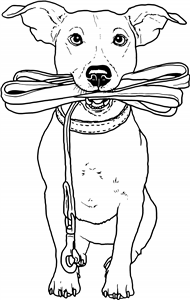 Jack Russell Holding Lead