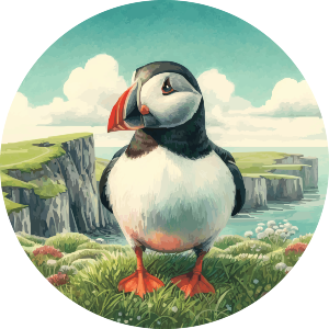 Puffin Bird Standing