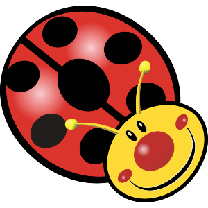 Happy Ladybird