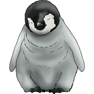 Penguin Chick