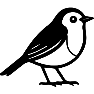 Robin Bird