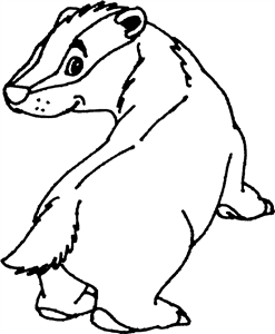 Baby Badger