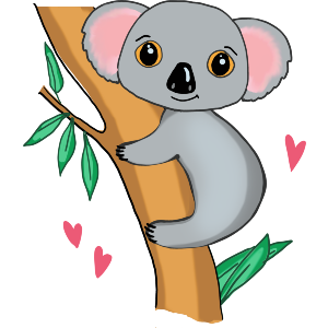 Cute Koala