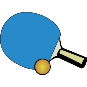 Ping Pong Paddle