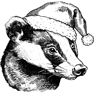 Badger Wearing Santa Hat