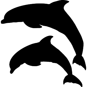 Dolphins Silhouette
