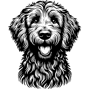 Happy Goldendoodle Dog