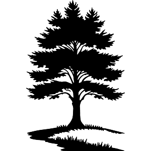 Pine Tree