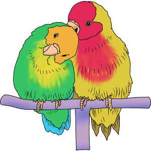 Couple Parrots
