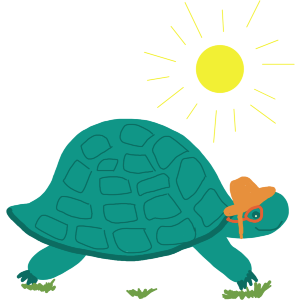 Tortoise With A Sun Hat And Glasses