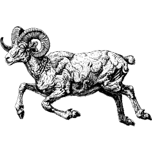Aries Ram Jumping