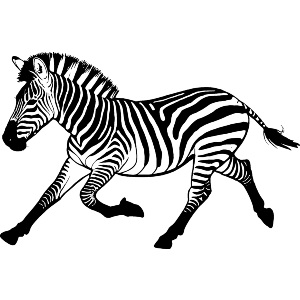 Running Zebra