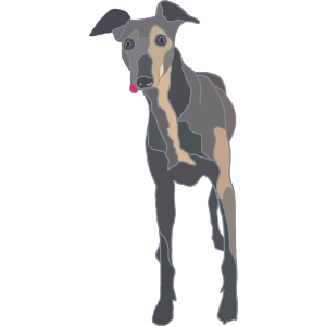 Greyhound 