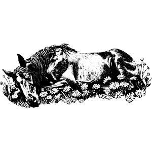 Sleeping Horse with Flowers