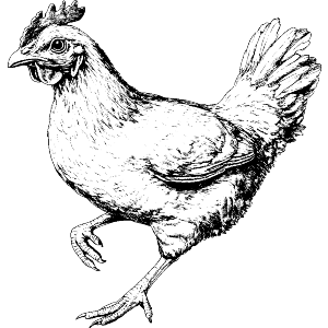 Chicken Running