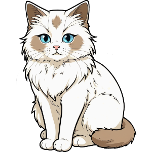 Cartoon Ragdoll Cat