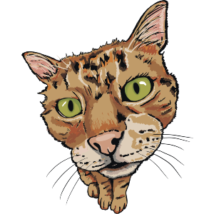 Ginger Tabby Cat with Green Eyes