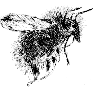 Bumblebee 