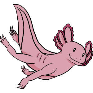 Cute Swimming Axolotl Cartoon