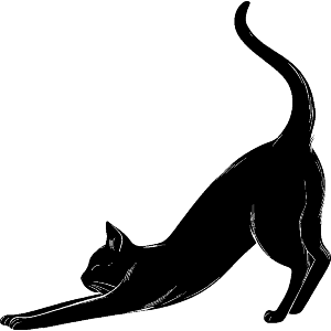 Cat Stretching  