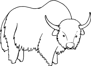 Buffalo