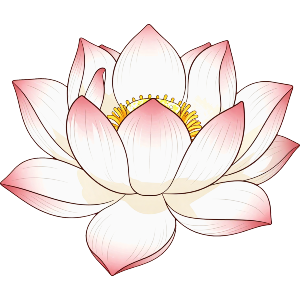 Pastel Lotus Flower