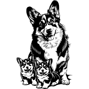 Welsh Corgi Mother with Puppies
