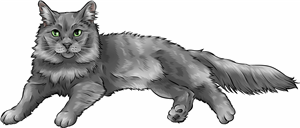 Nebelung Cat