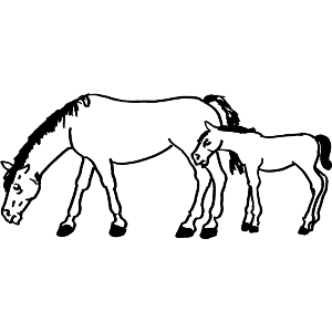 Mare and Foal Horses