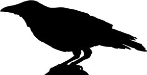 Perched Crow Silhouette