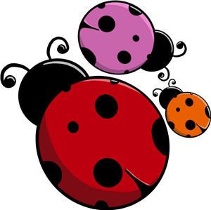 Multicoloured Ladybirds