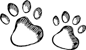 Paw Prints