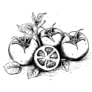 Tomatoes